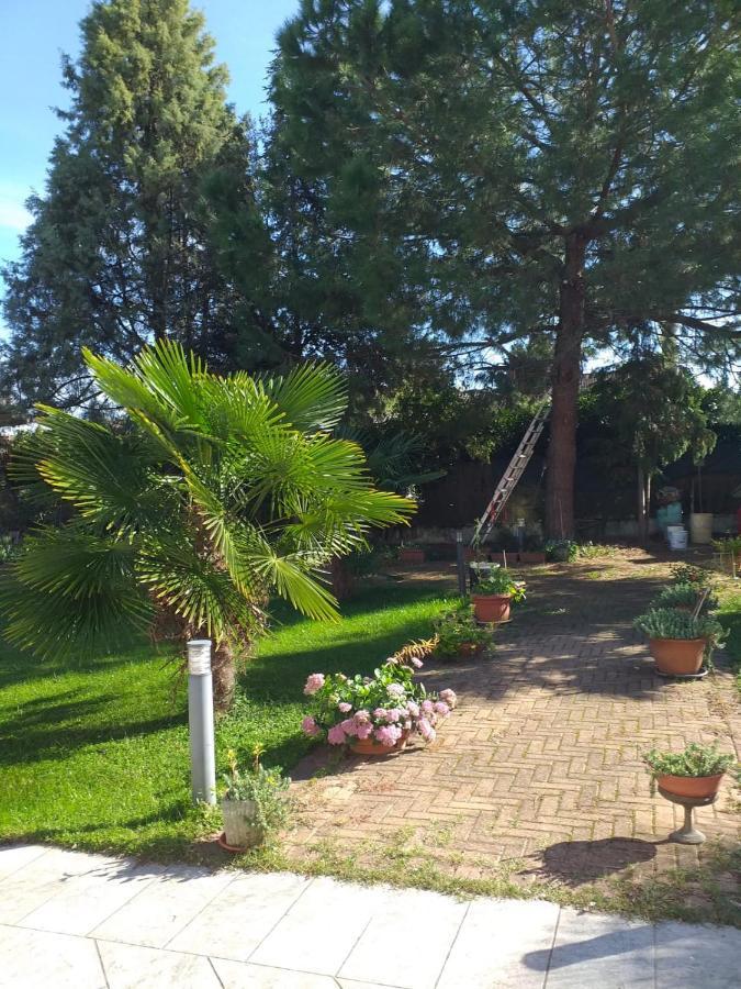 Antica Cascina B&B Borghetto Lodigiano エクステリア 写真
